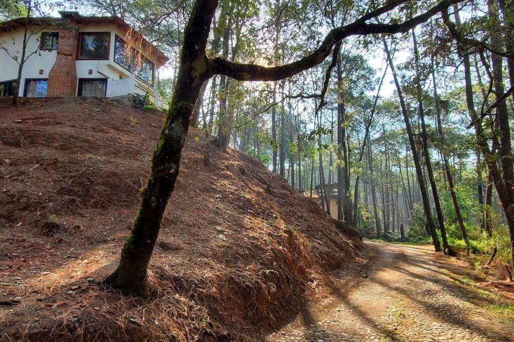 Villa Fantasia A 15 Min A Pie De Cascada مازاميتلا المظهر الخارجي الصورة